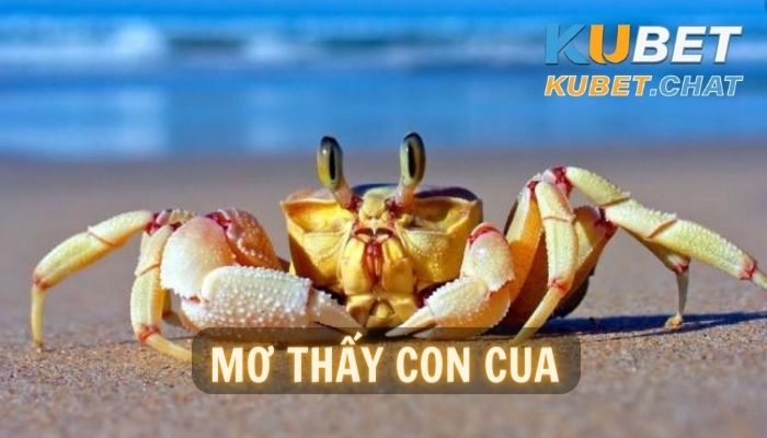 Mơ thấy con cua may hay rủi? Con số may mắn dành cho bạn